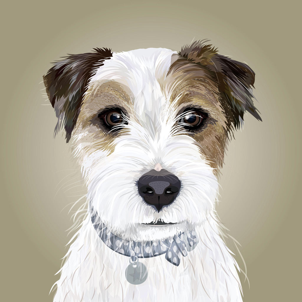 Parson Jack Russell Terrier Illustration