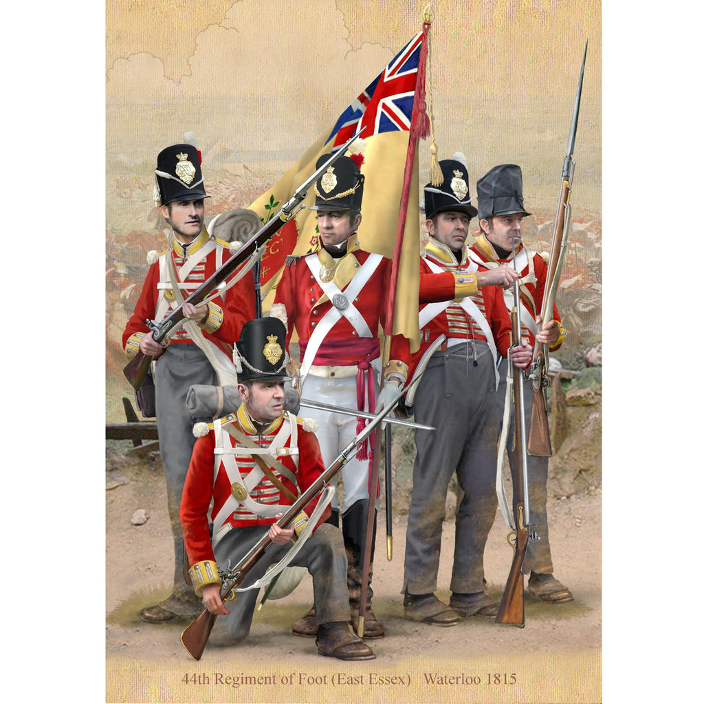 44th Regiment of Foot, Waterloo 1815