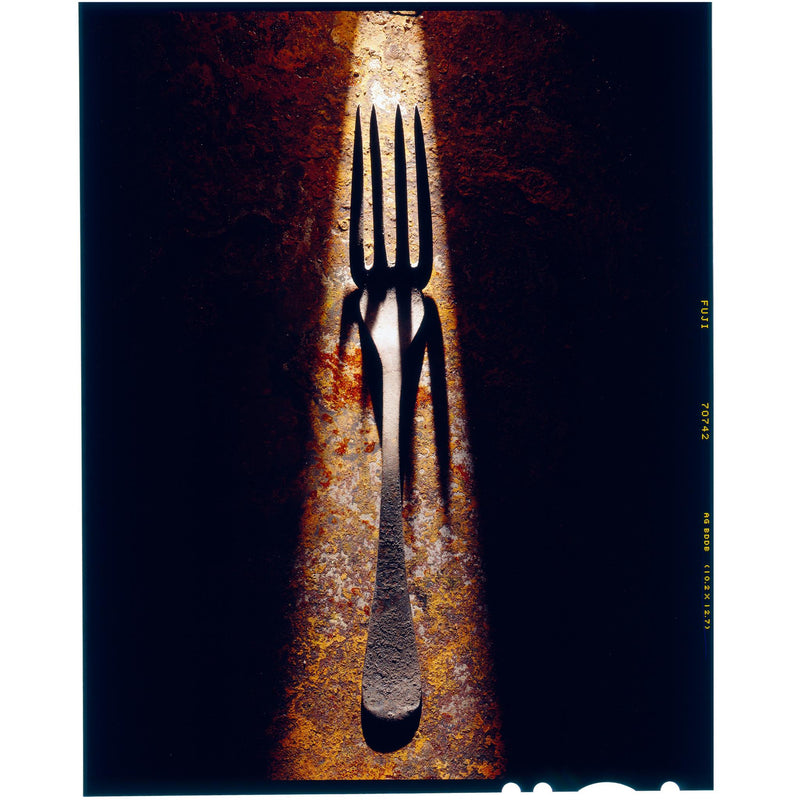 OLD FORK ON RUSTY IRON SHEET