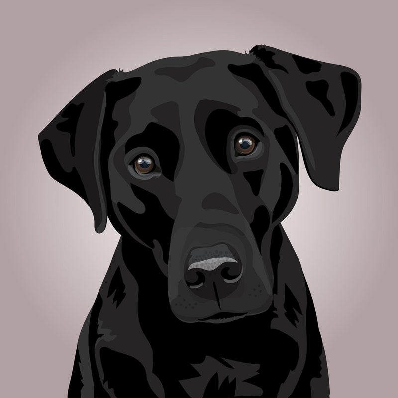 Labrador Illustration