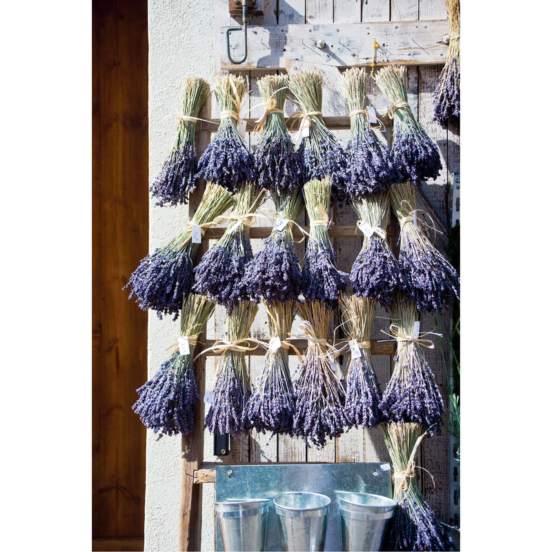 Lavendar on Provencal Door