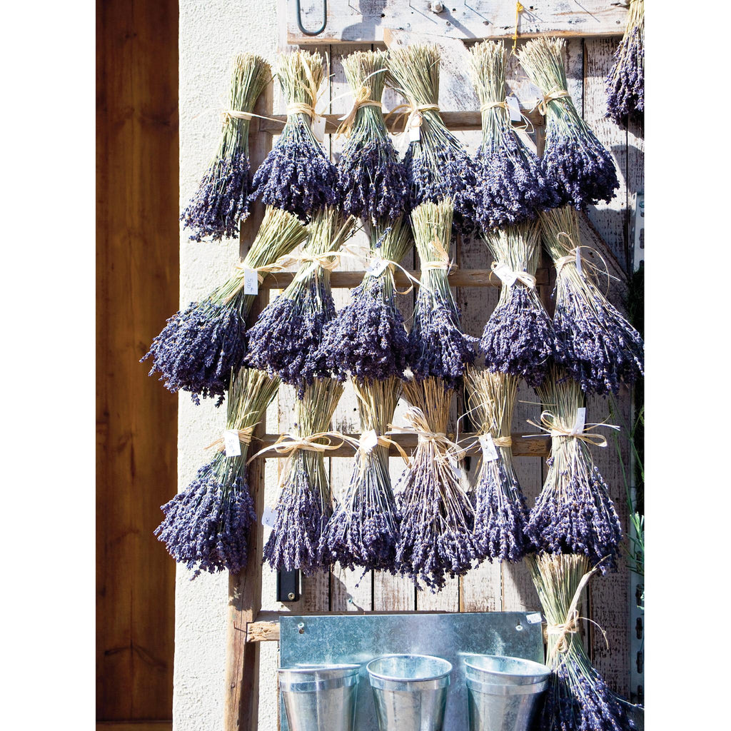 LAVENDAR on PROVENCAL DOOR - Greetings Card