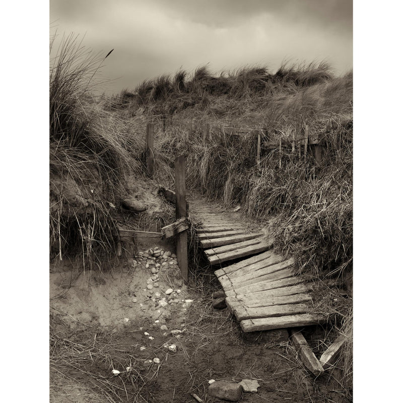 THE PATHWAY print no 8 Druridge Bay