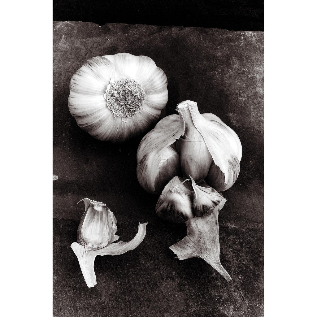 Gossamer skinned Garlic on Cumberland Slate - MONOCHROME