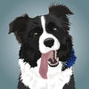 Border Collie Illustration