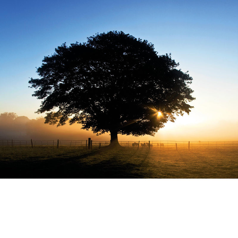 AUTUMN DAWN- Skutterskelfe Park, North Yorkshire - Greetings Card